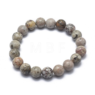 Natural Maifanite/Maifan Stone Bead Stretch Bracelets X-BJEW-K212-B-044-1