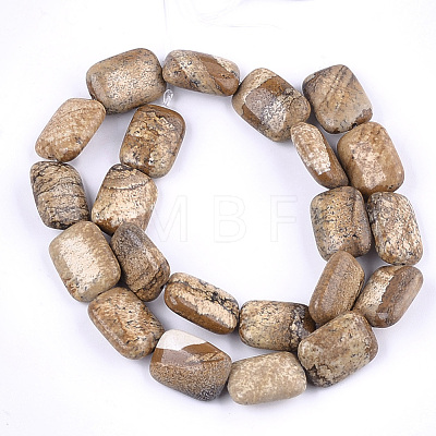 Natural Picture Jasper Beads Strands G-T121-12-1