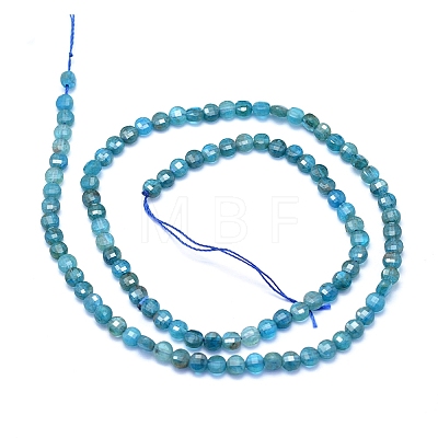 Natural Apatite Beads Strands G-E530-07AK-1