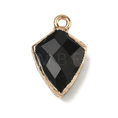 Natural Black Onyx(Dyed & Heated) Pendants G-K422-01G-07-1