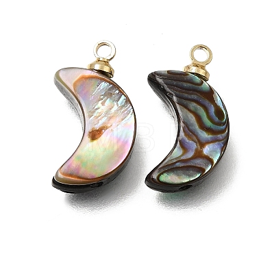 Natural Abalone Shell Pendants SH-CJC0AC7-01E-G-1