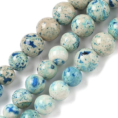 Natural Fossil Graduated Beads Strands G-F830-A03-01E-1