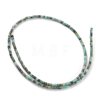 Natural African Turquoise(Jasper) Beads Strands G-H255-08-1