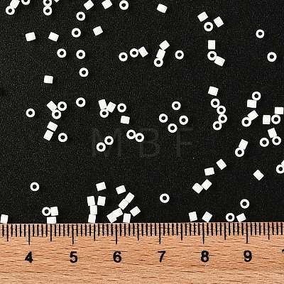 Cylinder Seed Beads SEED-H001-H24-1