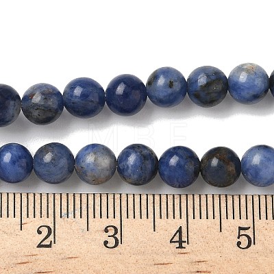 Natural Sodalite Beads Strands G-G515-6mm-07-1