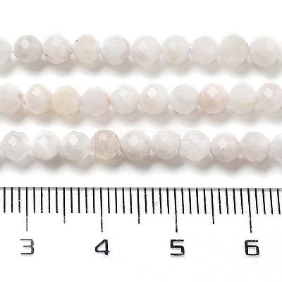 Natural Rainbow Moonstone Beads Strands G-G161-A01-03-1