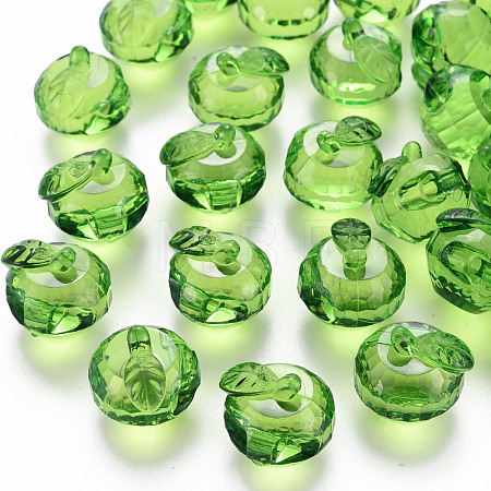 Transparent Acrylic Pendants TACR-T024-05B-925-1