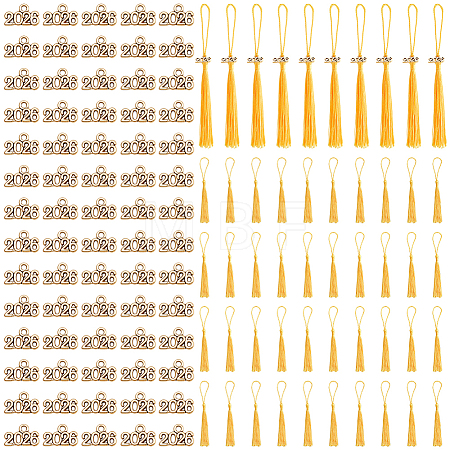 Tibetan Style Alloy Charms FIND-SP0005-71-1