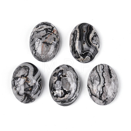 Natural Map Stone Cabochons G-T144-76B-1