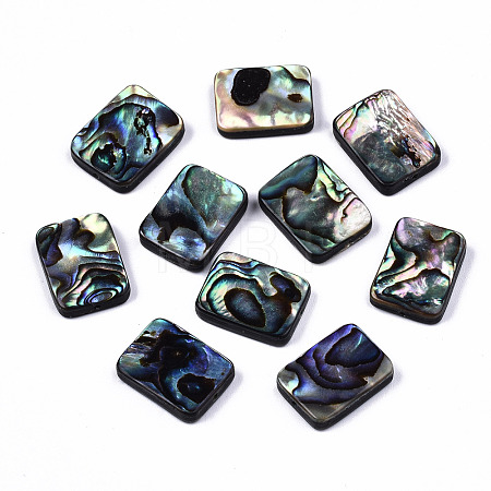 Natural Abalone Shell/Paua Shell Beads SSHEL-T014-11B-1