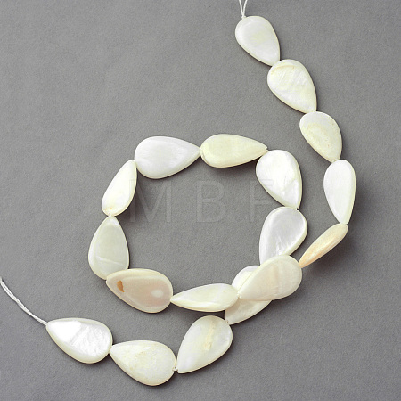 Natural Sea Shell Beads Strands X-SSHEL-Q296-43-1