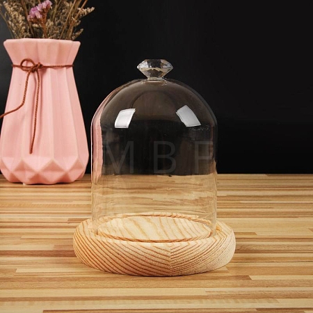 Diamond Shaped Top Clear Glass Dome Cover BOTT-PW0003-001A-A04-1
