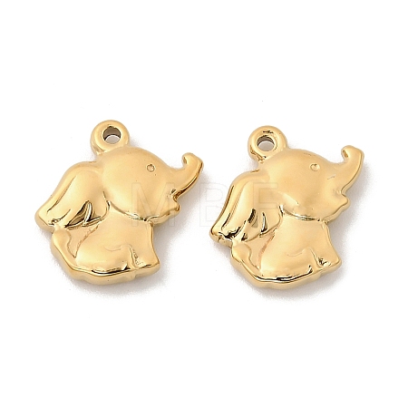 304 Stainless Steel Charms STAS-G358-07G-03-1