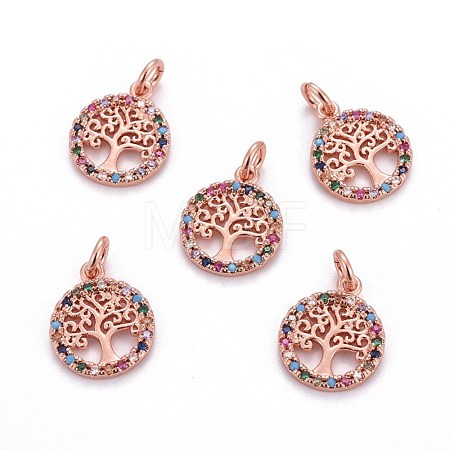 Brass Micro Pave Cubic Zirconia Charms ZIRC-L070-45RG-1