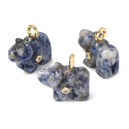 Natural Blue Spot Jasper Carved Pendants G-H357-02G-08-1