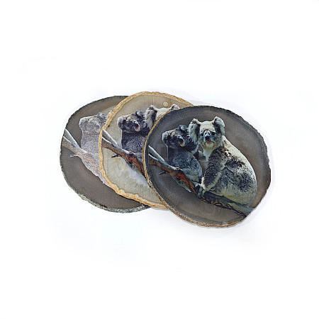 Printed Natural Agate Slice Stone Ornament DJEW-M011-04B-1