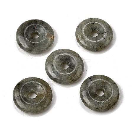Natural Labradorite Pendants G-F820-13A-03-1