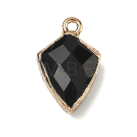 Natural Black Onyx(Dyed & Heated) Pendants G-K422-01G-07-1