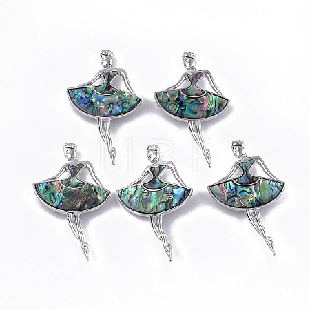 Abalone Shell/Paua Shell Brooches/Pendants RESI-S376-16-1