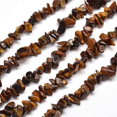 Natural Tiger Eye Chip Bead Strands G-M205-03-1
