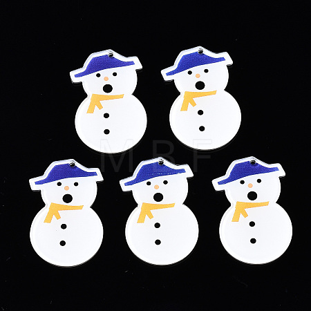 Transparent Printed Acrylic Pendants KY-S163-341-1