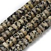 Natural Dalmatian Jasper Beads Strands G-G317-A16-3x6mm-2
