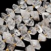 Natural Quartz Crystal Beads Strands G-F833-T02-03-2