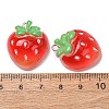 Fruit Theme Opaque Resin Imitation Food Pendants RE-CBA49A8-04A-3
