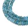 Natural Apatite Beads Strands G-G106-B02-01-3