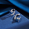 925 Sterling Silver Cubic Zirconia Hoop Earrings EJEW-L294-019P-4