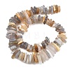 Natural Grey Agate Beads Strands G-A302-A02-01-4