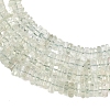 Natural Green Quartz Beads Strands G-Z152-F02-02-4