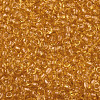 Glass Seed Beads X1-SEED-A004-3mm-2-2