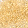 8/0 Transparent Glass Seed Beads SEED-F003-03B-14-3