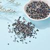 Glass Seed Beads X-SEED-S059-001-6