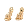 Brass Pendants KK-L223-022G-1