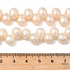 Natural Cultured Freshwater Pearl Beads Strands PEAR-I007-04E-02B-5