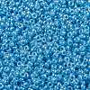 MIYUKI Round Rocailles Beads SEED-X0056-RR0433-3