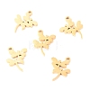 304 Stainless Steel Charms STAS-O142-61G-1