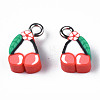 Handmade Polymer Clay Charms CLAY-N006-44-2