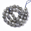 Natural Labradorite Beads Strands G-R465-33C-2