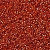 MIYUKI Delica Beads SEED-J020-DB2158-3