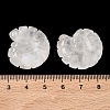 Natural Quartz Crystal Conch Display Decorations DJEW-D303-01E-3