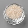 Baking Paint Cylinder Seed Beads SEED-R041-21-2