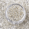 Glass Seed Beads SEED-S042-04A-06-2