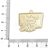 Alloy with Enamel Pendants AL-CBAE84A-02C-01-3
