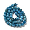 Natural Apatite Beads Strands G-S150-18-8mm-3