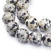 Natural Dalmatian Jasper Beads Strands X-GSR12mmC004-2