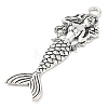 Tibetan Style Alloy Big Pendants AL-CBACA42-06AS-2