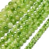 Natural Malaysia Jade Beads Strands G-L645-C01-8mm-31-2